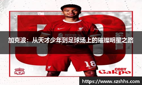 加克波：从天才少年到足球场上的璀璨明星之路